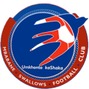 Mbabane Swallows FC logo