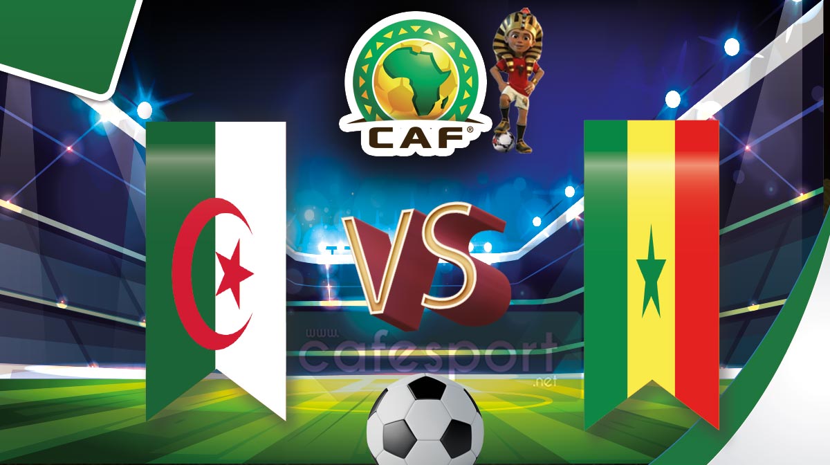 السنغال vs الجزائر