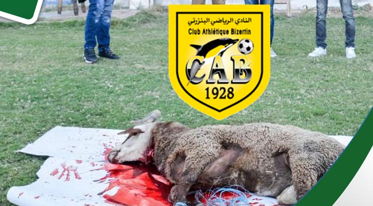 خروف لفكّ النحس في بنزرت خروف لفكّ النحس في بنزرت