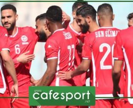 سابقة في المنتخب : البطولة الأفضل قاريا تصدّر عنصرين فقط الى نسور قرطاج